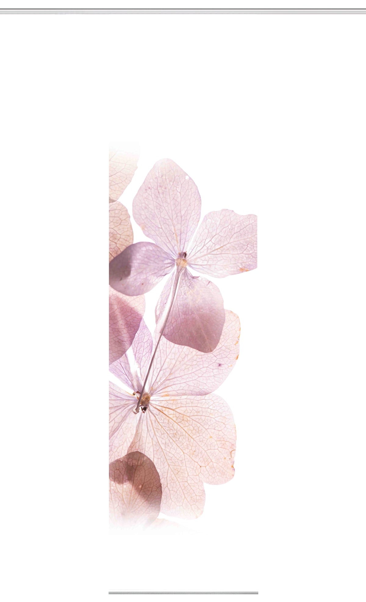 Flächenvorhang Bonita rose BxH 60x245cm