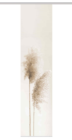 Flächenvorhang Vision S Irlos sand BxH 60x260cm