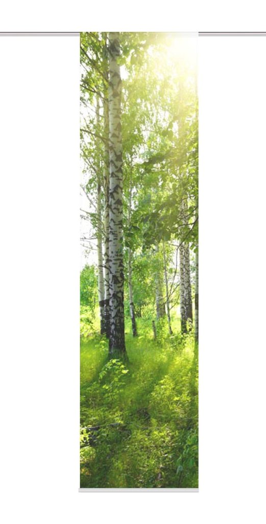 Flächenvorhang Newcastle grün BxH 60x245cm
